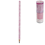 Карандаш ч/гр " Bruno Visconti " FlowerZefir. Rosa, НВ, трехгранный, пластиковый, заточенный, пластиковый тубус