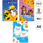 Записная книжка МАЛЫЙ ФОРМАТ А6 спираль 80л " Hatber " Милые Котята, клетка, обложка - мелованный картон, 3 дизайна