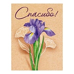 Бирка для букетов и подарков " Открытая планета " 065 Спасибо, 79*61мм, крафт