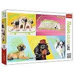 Пазлы " Trefl " 1000элементов Отпадные псы, Neon 68,3*48см, картонная упаковка 27*40*6см