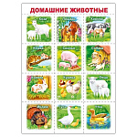 Плакат " Мир поздравлений " 409 А4 Домашние живтоные, мелованный картон 190г/м2, без отделки