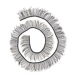 Фурнитура для игрушек " HobbyBe " Ресницы черные