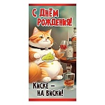 Конверт для денег " Праздник " 410 С Днем рождения! Киске — на виски!, 168*84мм, без отделки, текст