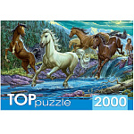 Пазлы " TOPpuzzle " 2000элементов Ночной табун лошадей 92*68см, картонная упаковка 24*35,9*5см