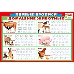 Плакат " Мир поздравлений " 941 А3 Первые прописи Домашние животные, ламинация