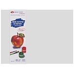 Набор холстов " Я- художник! " 30*40см 5шт на картоне, хлопок, мелкозернистый, плотность 280г/м2, грунтованный