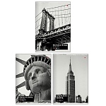 Тетрадь А4 96л клетка " Альт " NY-NY, офсет, на скобе, обложка - мелованный картон, выборочный УФ-лак, скругленные углы, 3 дизайна