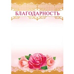 Благодарность А4 475 " Империя поздравлений " конгрев, фольга по периметру, название