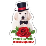 Магнит виниловый " Хорошо " 612 Гляжу на тебя... 61*98мм