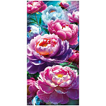 Конверт для денег " Империя поздравлений " 410 Без названия- Поляна пионов, 84*168мм, без отделки, без текста