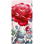 Конверт для денег " Мир поздравлений " 410 Без названия- Красная роза, 168*84мм, глянцевый УФ-лак, без текста