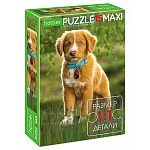 Пазлы " Hatber "  15элементов ECO Maxi Мой лучший друг 22*33см, картонная упаковка