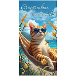 Конверт для денег " Миленд " DreamCards Счастливых моментов!, Полосатый котик на пляже, 85*164мм, лен