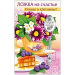 Ложка сувенирная " Умнице и красавице! " нержавеющая сталь, блестки в лаке, 14,5 см