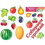 Набор оформительский " Империя поздравлений " 860 Собираем урожай (фрукты и ягоды), без отделки