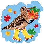 Украшение на скотче " Мир поздравлений " 150 Кулик в сапожках, 150*150мм, глянцевый УФ-лак