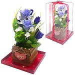 Цветы в горшке " KWELT " 19см, прозрачная упаковка 12,5*21см, ленточка
