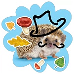 Украшение на скотче " Мир поздравлений " 150 Ёжик в шляпе, 150*150мм, глянцевый УФ-лак