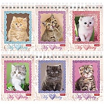 Блокнот МАЛЫЙ ФОРМАТ А7 спираль 40л " Hatber " Котята, клетка, обложка - мелованный картон, 6 дизайнов