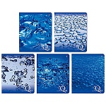 Тетрадь А5 48л " Альт " Вода, клетка, блок- офсет 60г/м2, на скобе, обложка- мелованный картон, полный УФ-лак, скругленные углы, 5 дизайнов