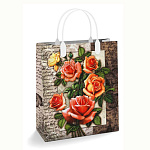 Пакет ПЭ " Интерпак " с пластиковой ручкой МП, 23*27см 150мкм Мэри